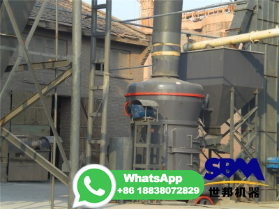 600kg/h Rice Mill Machine